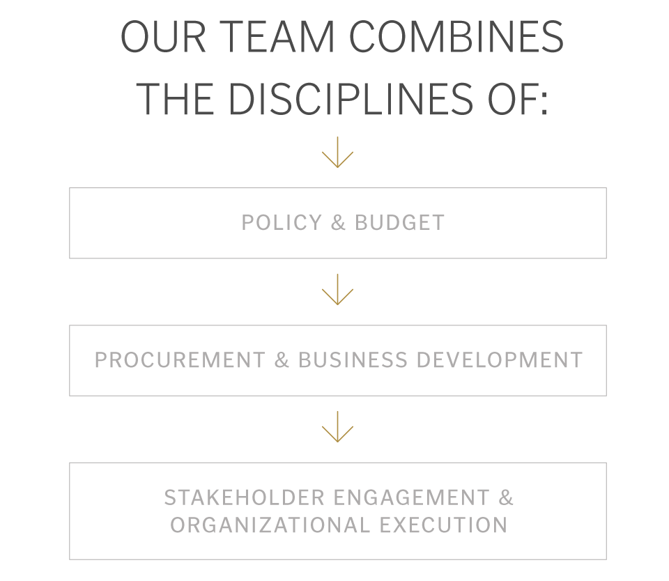 Insights:  Team Disciplines